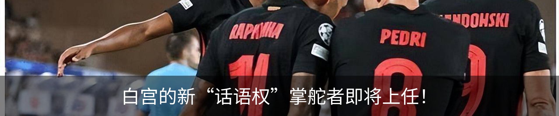 新闻动态